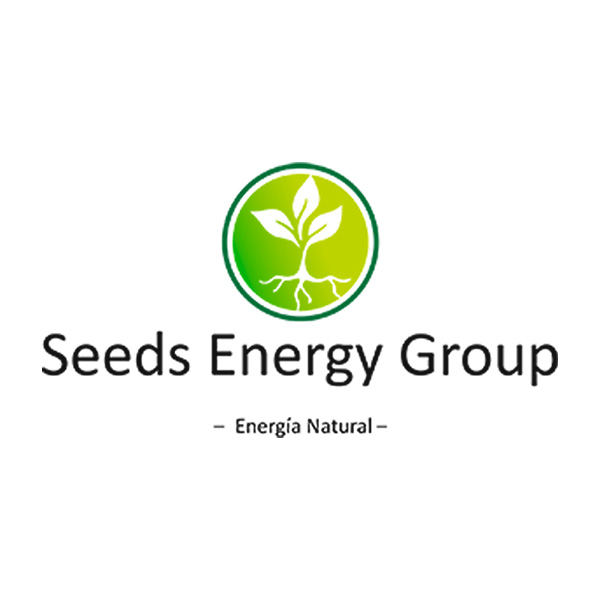 SEEDS ENERGY GROUP